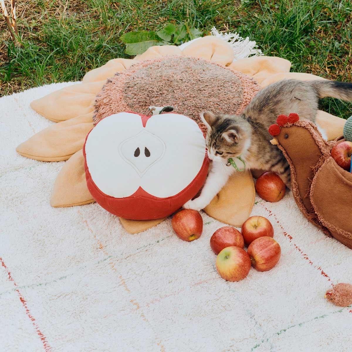 image_7eb0dfea-27cd-4f3a-b68e-ed6596f73632