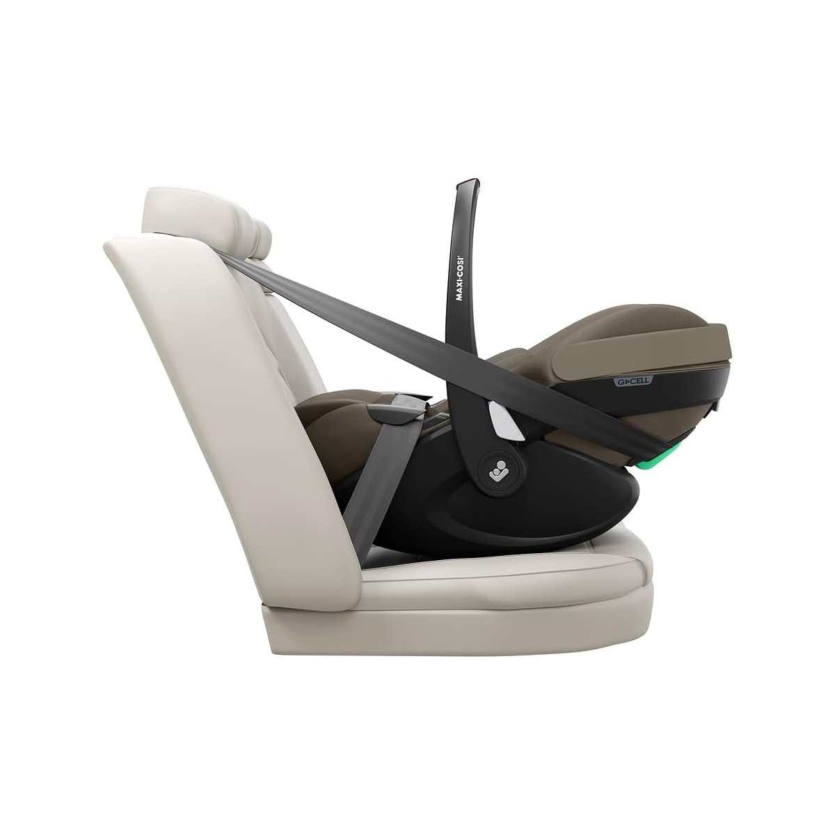 image_8f7ef1e0-1ee5-48ed-8a4f-c8bb2b00cc5f