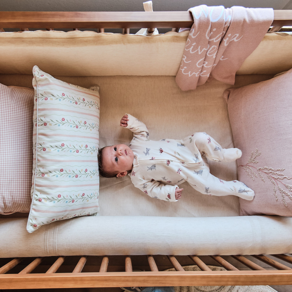 image_ad115a61-4b13-44d8-a949-ec36ed2d51a9