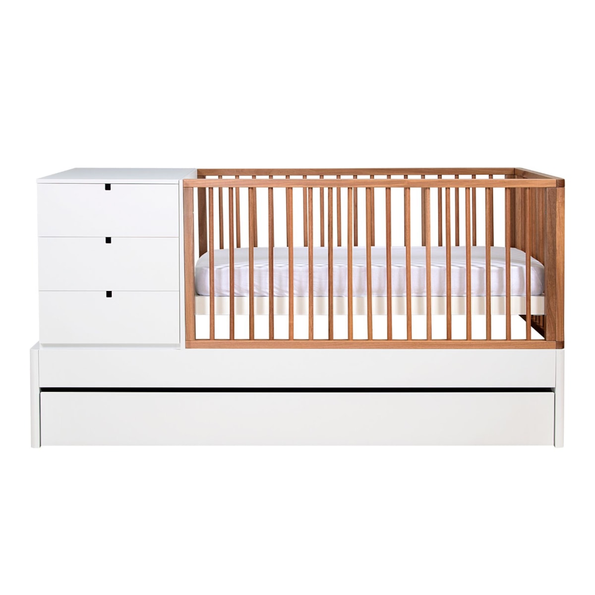 image_5e30a7a7-20c1-4a08-9390-db0cdb2c2517