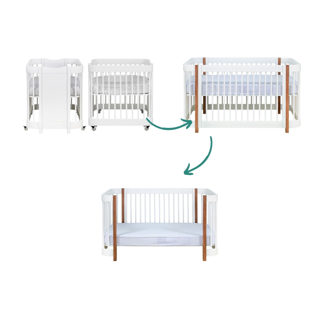 image_54fba755-d780-4723-9be7-391bdd0a5248