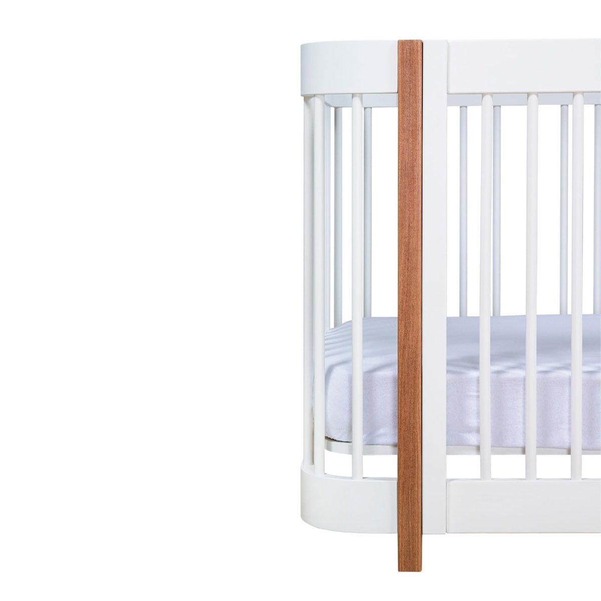 image_f54d8153-5ab5-4caf-b56e-85c13fd9abf4