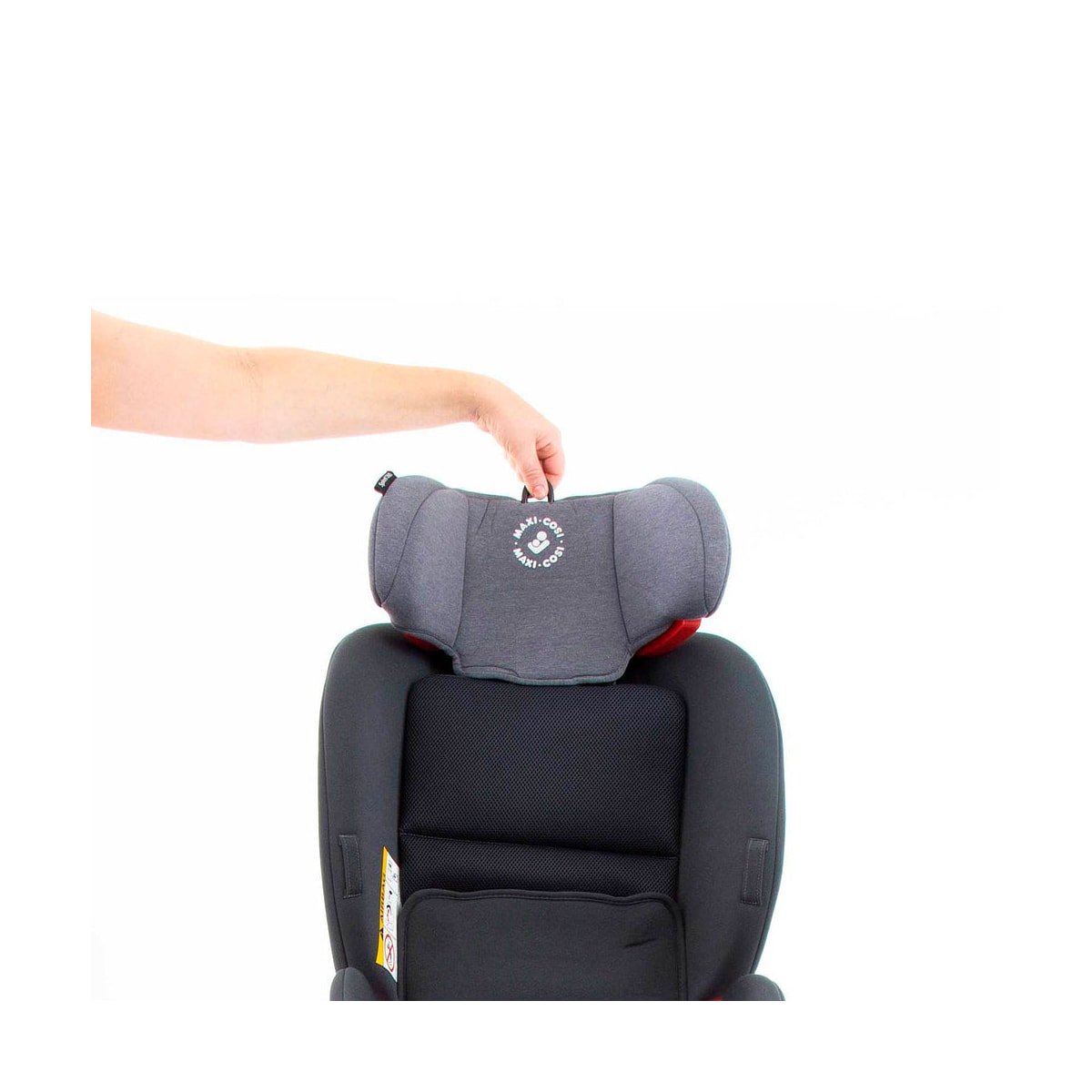 image_95e3653d-288e-46e6-9912-3d660079e0a9