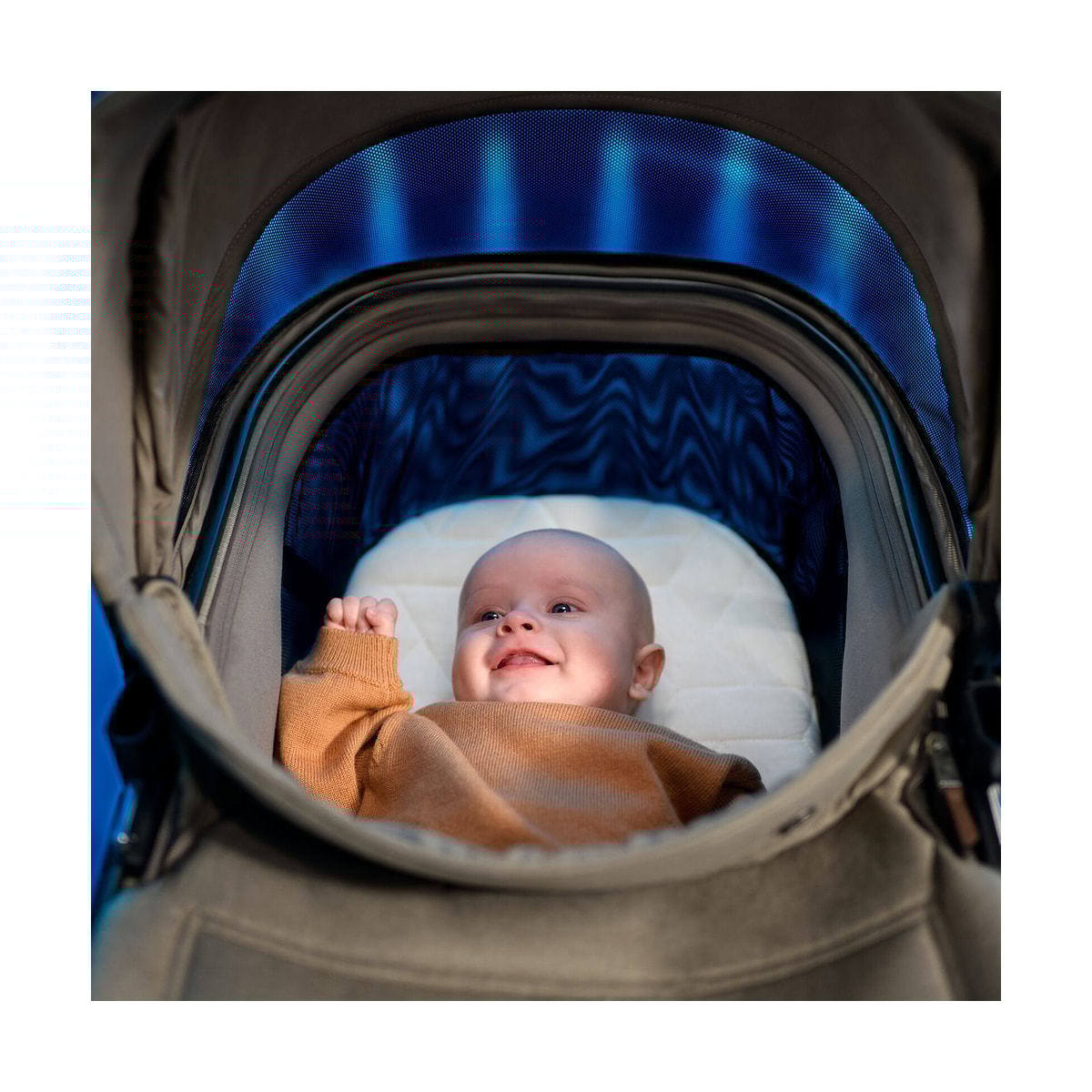 image_fed8b03d-6093-498e-9542-3efd8eee2129