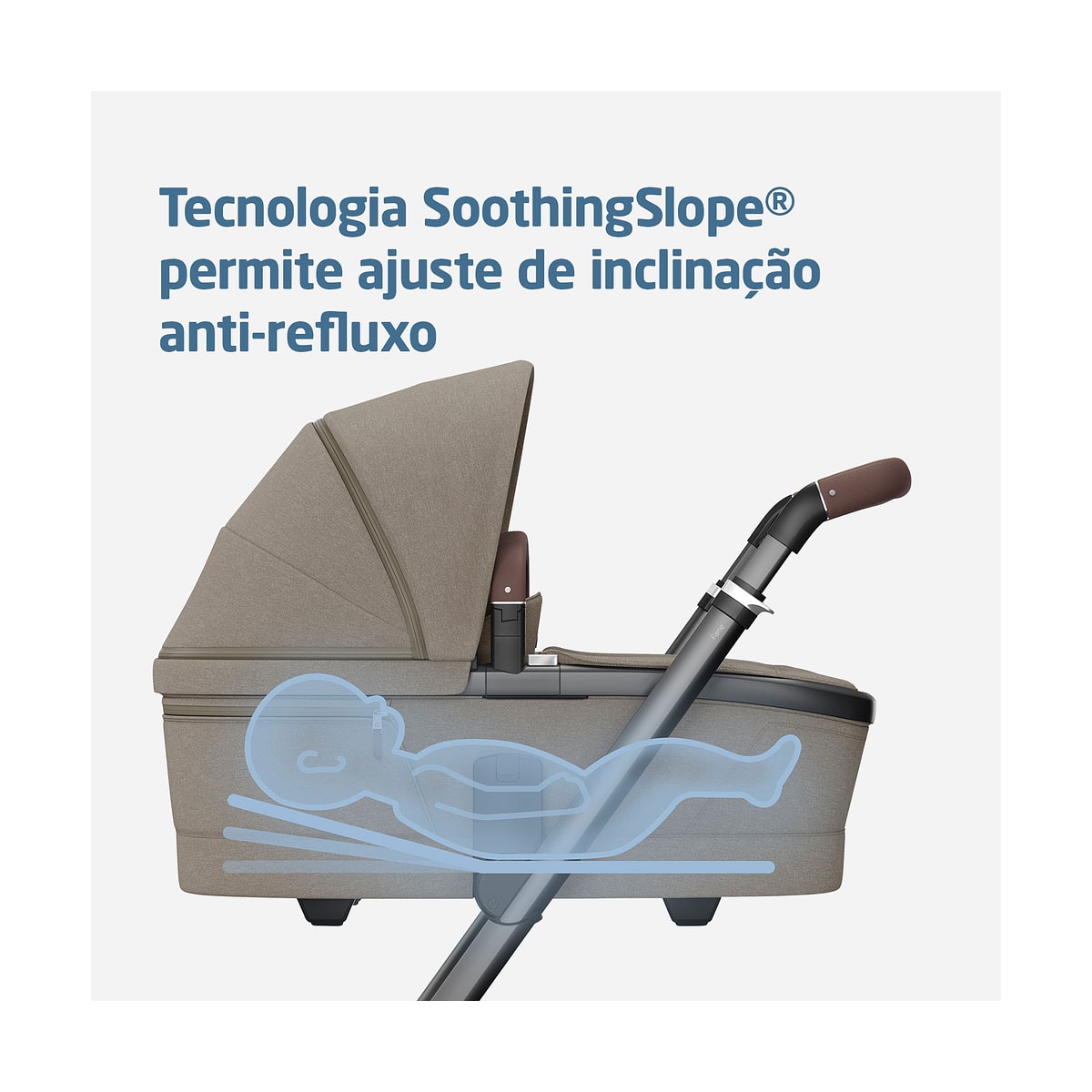 image_28f6bb63-0179-4e38-b97e-f61cd487fbd6