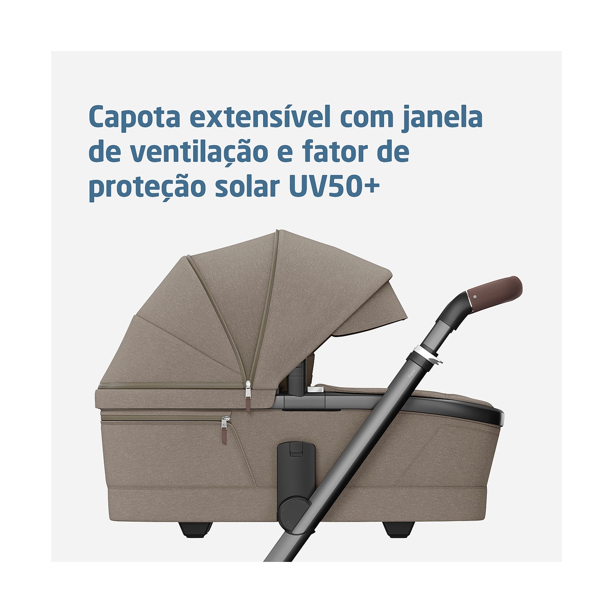 image_16a1521c-74ed-42c1-86b0-e266d57daf54