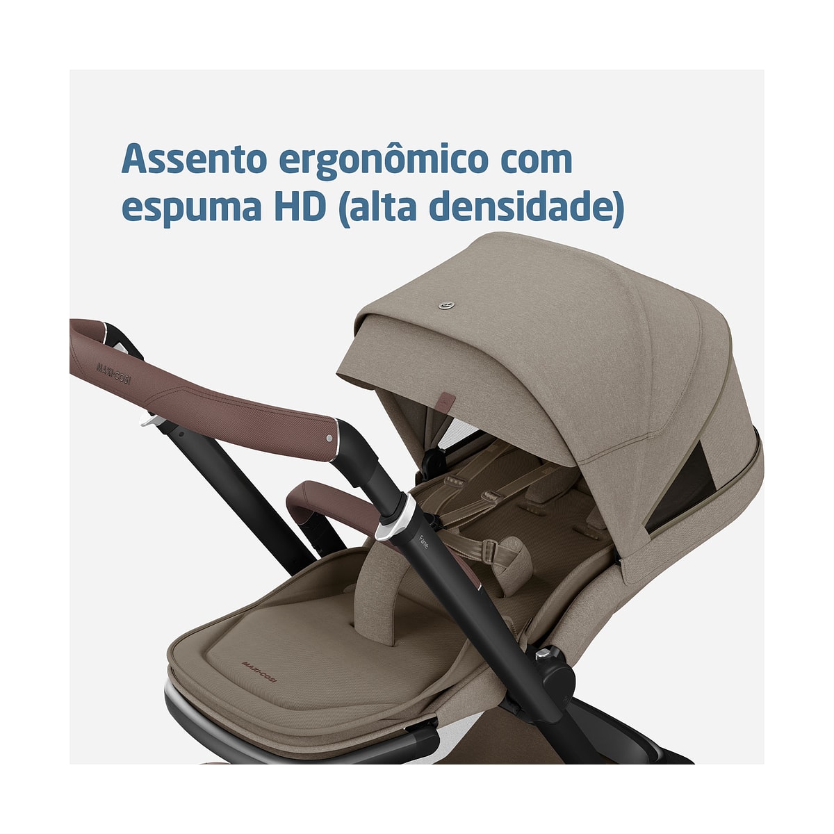 image_ee834626-1665-4e23-bfab-85b95d59b5d3