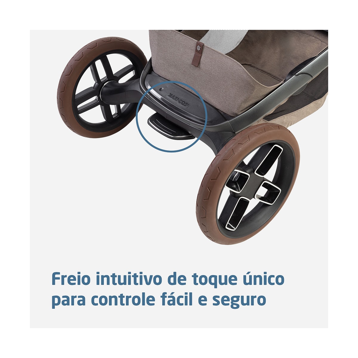 image_eedba335-3cba-4b6e-b2a0-f7afc7ad6b8f