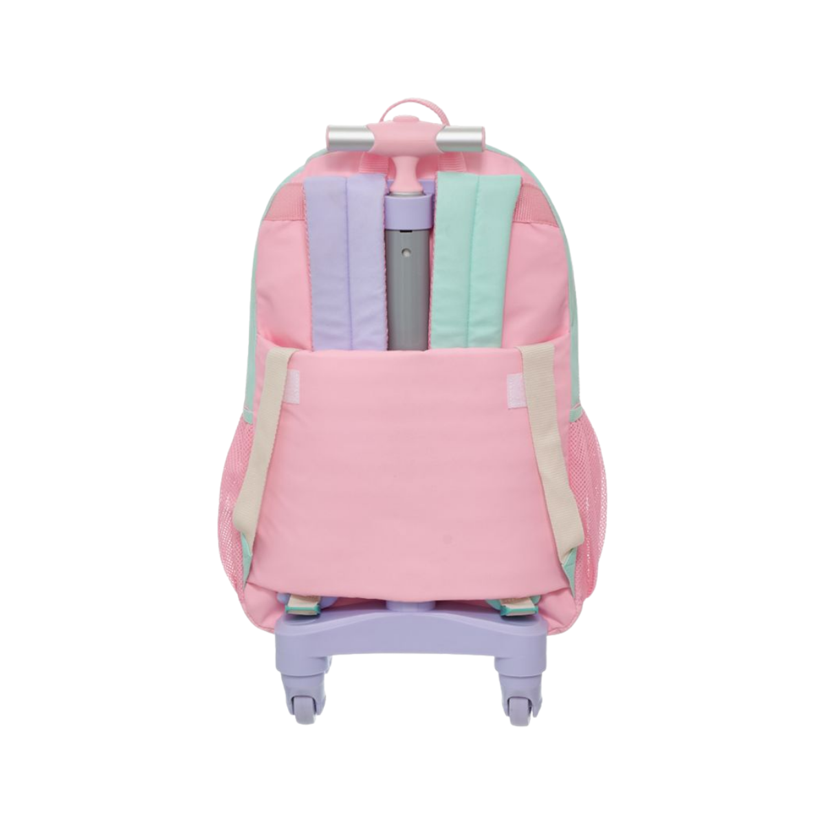 image_b3f3715a-5834-4532-b22d-55efe4c48e7e