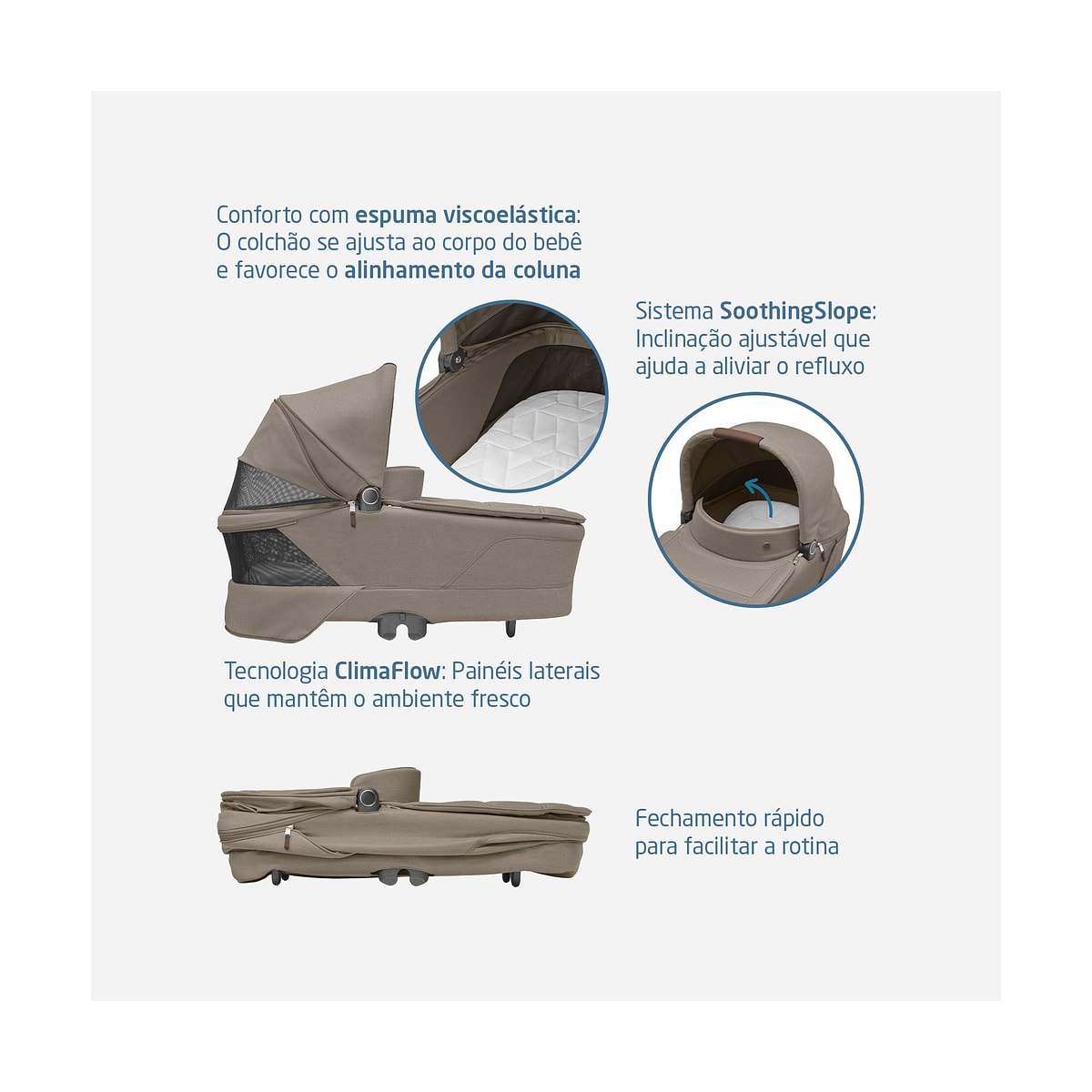 image_ce60bee2-b59f-47e9-aaab-5c817e195578