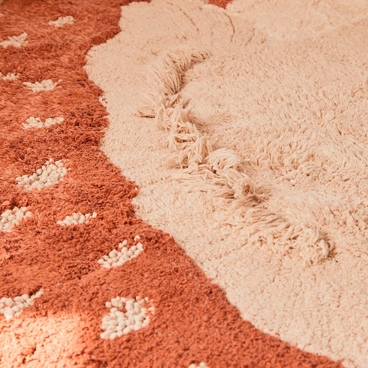 image_e8c231ec-b68c-4d26-b561-18e9d1783d3e