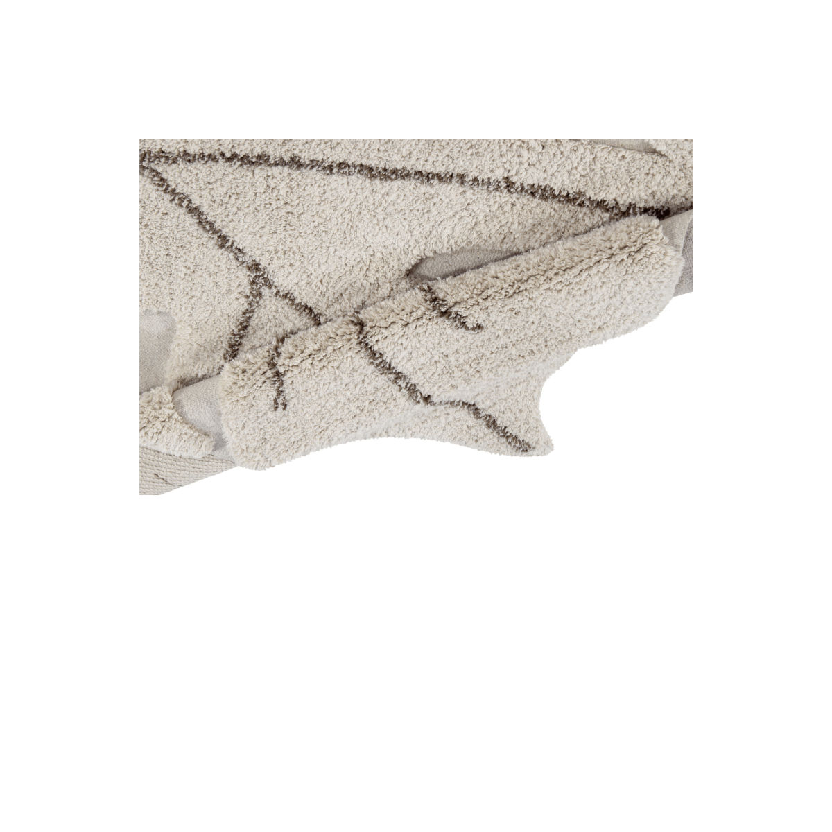 image_0b0c308a-24e0-4dfe-b6a2-f4af6f8e2d60