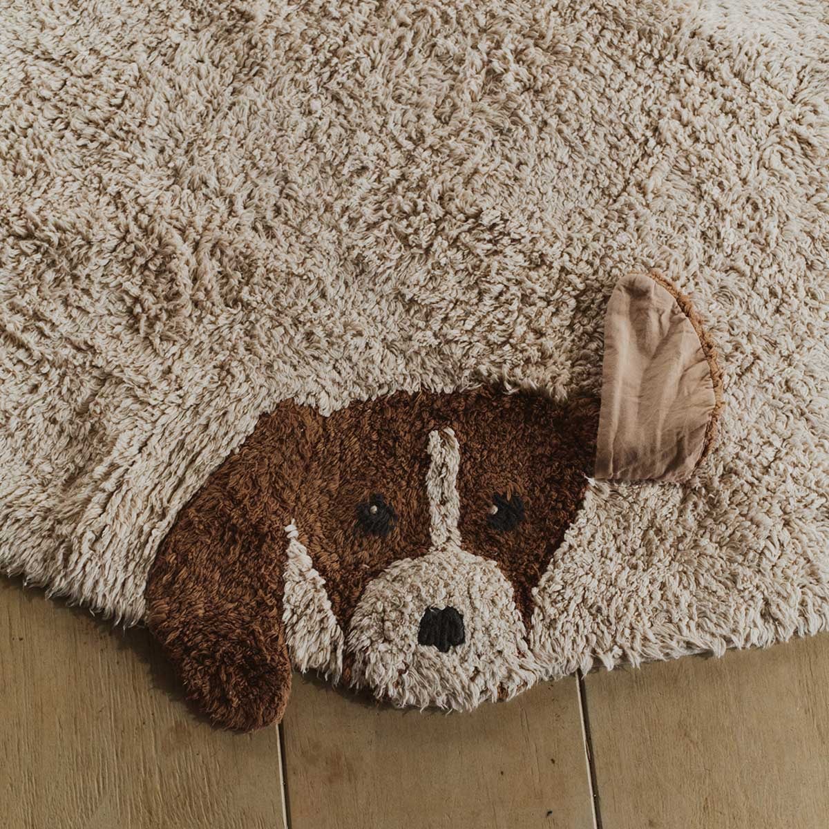 image_b447290d-f2dd-4c64-b178-11db97c208ec