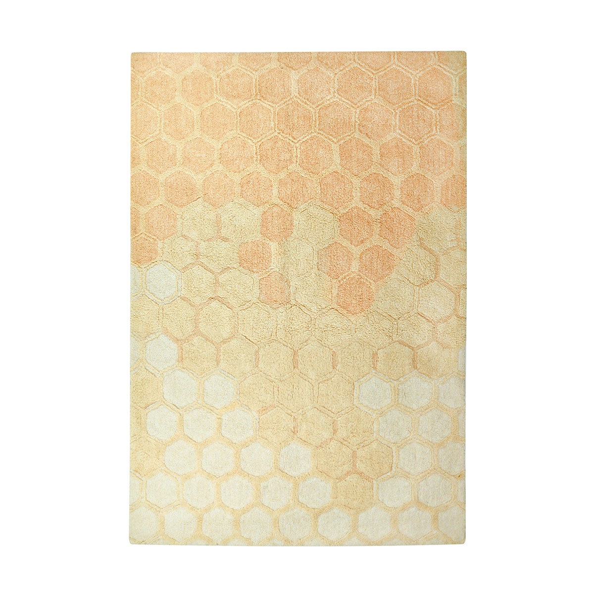 image_e613c033-9f81-459b-90c5-9658abf3a5e4