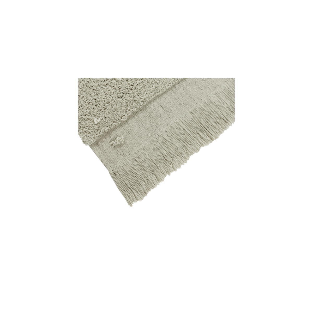 image_12ffc0c2-2525-46d5-a9b8-c935149d5673