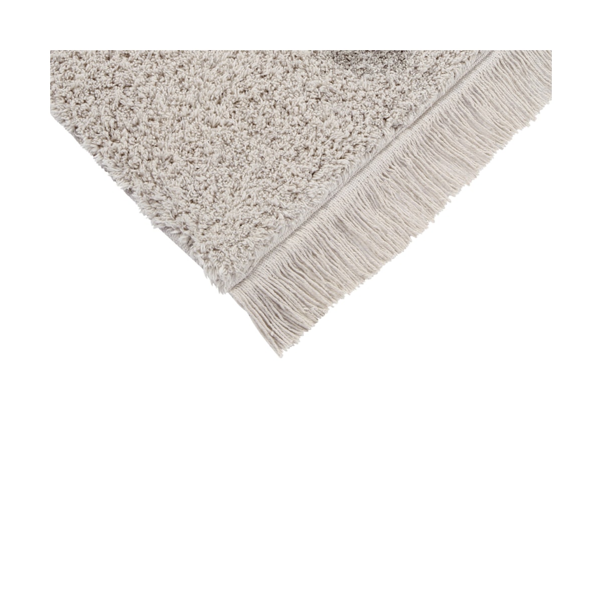 image_4fdfde14-e34c-41b5-8196-3d65d0d77b2d