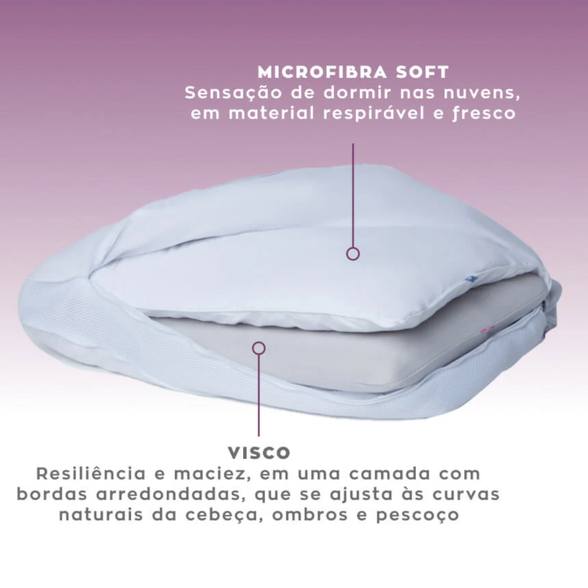 image_ec5b40b4-5ba0-4ecf-8f1d-a287cbeca95a